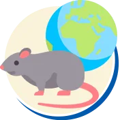 Ratos e Camundongos | Controle de Pragas | Rio Grande do Sul