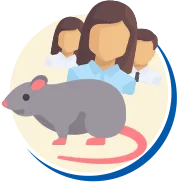 Ratos e Camundongos | Controle de Pragas | Rio Grande do Sul