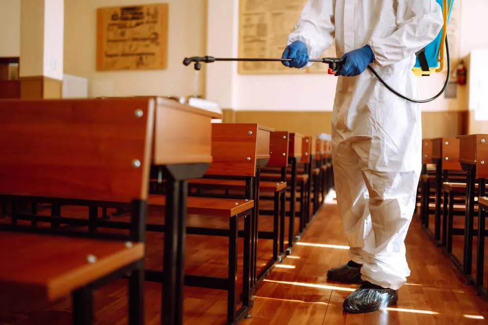 Controle de Pragas em Escolas: efetue o serviço com uma empresa confiável e experiente