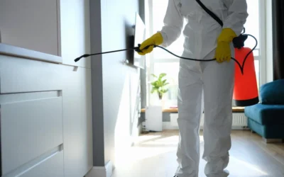 Cuidado ao contratar serviços de Sanitização para sua Empresa ou Residência