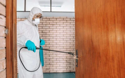 Sanitização de Salões de Beleza: conte com serviços profissionais para maior proteção