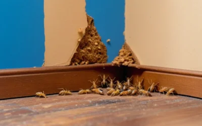 Cuidado com as revoadas de cupins: Guia Antinsect Uniprag Verão contra insetos