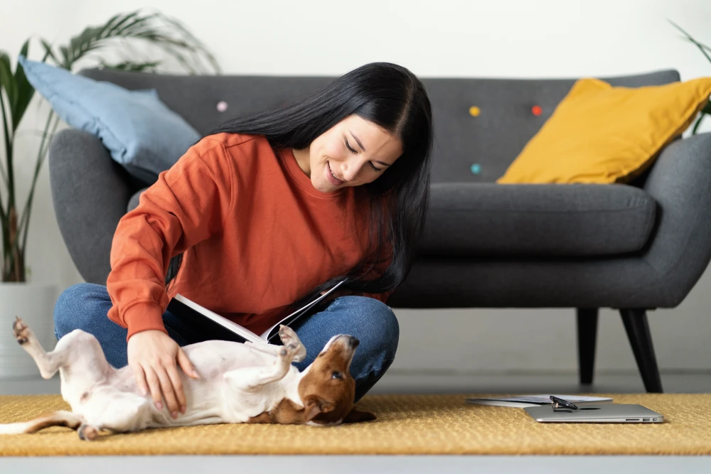 Como eliminar pulgas do ambiente?