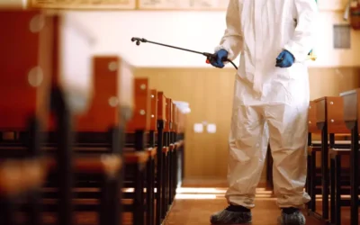 Controle de Pragas em Escolas: por que é essencial?