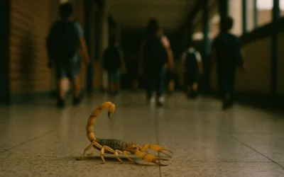 Escorpiões em áreas comuns de condomínios de Porto Alegre: como prevenir