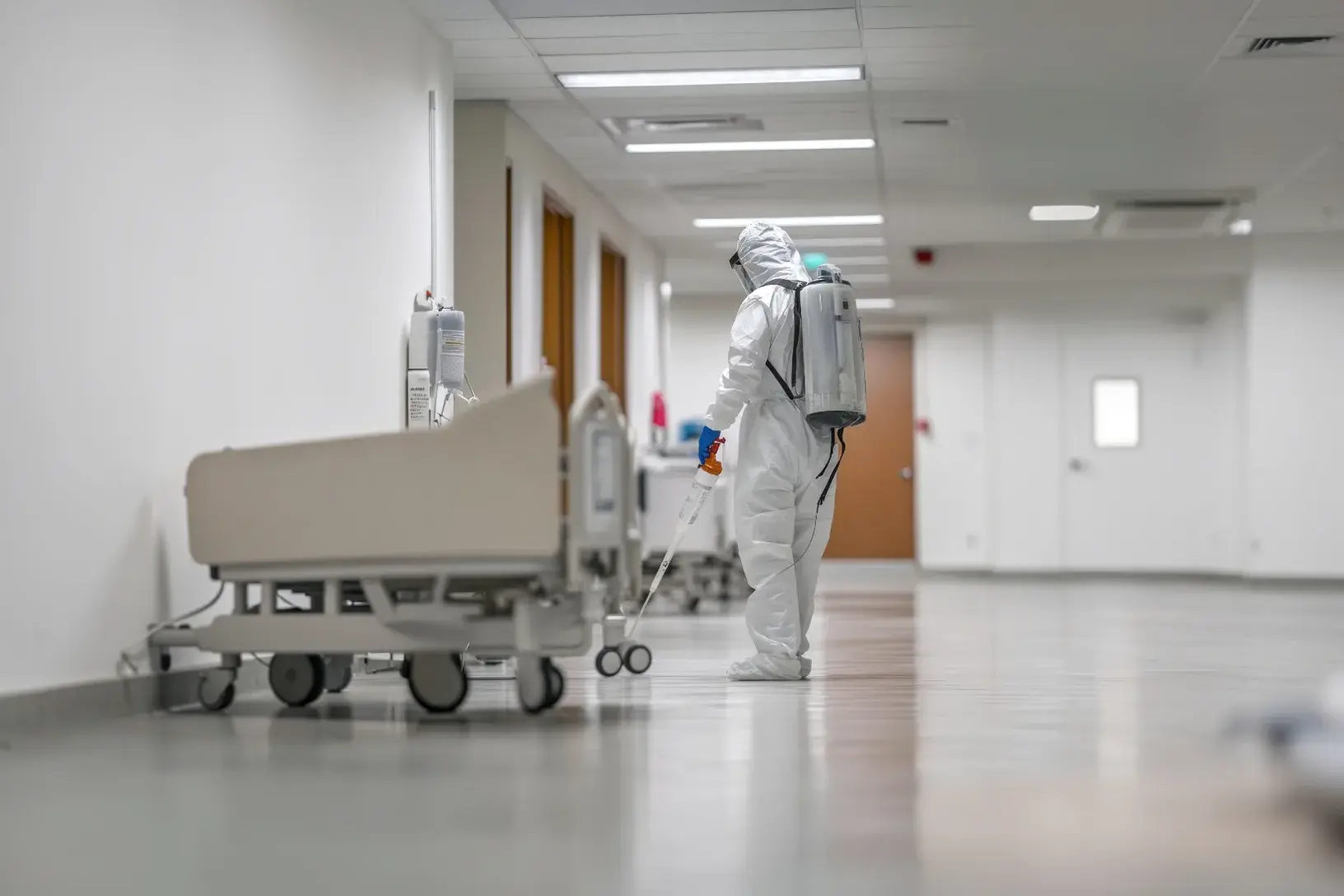 Controle técnico de pragas como medida de proteção ao paciente Controle técnico de pragas como medida de proteção ao paciente