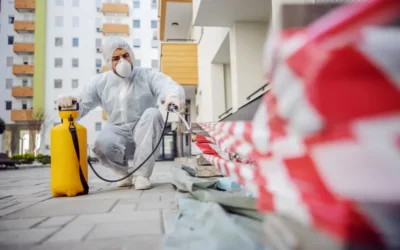 Dedetização Profissional: Prevenção técnica de pragas em ambientes administrativos